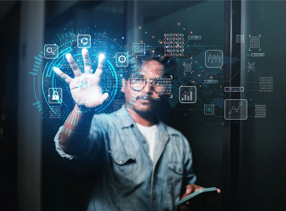 Voise Curation/Auction Packages