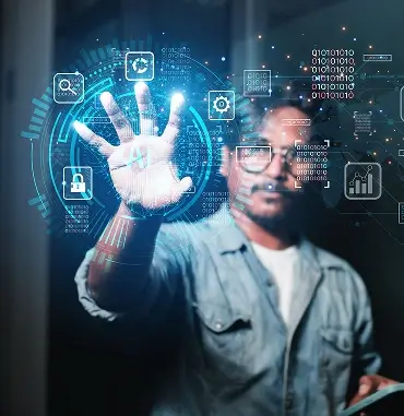 Voise Curation/Auction Packages