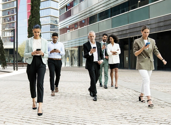 Voise Multicultural Opportunity